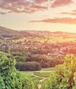Programmes immobiliers neufs en Bourgogne-Franche-Comté